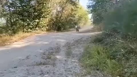 flying motorcycle