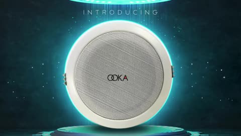 Ooka Audio - Top Ceiling Speaker in India - Retail Audio Solution