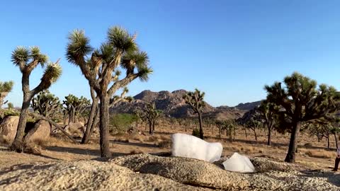 Scorching temperatures bake California's desert
