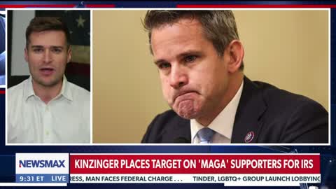 Adam Kinzinger places target on the back of political strategist Alex Bruesewitz for the IRS.