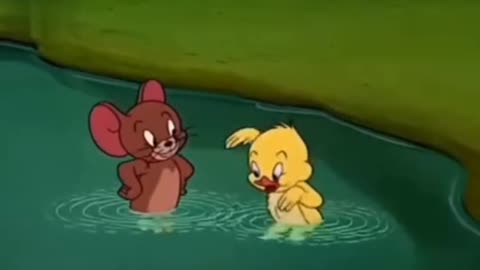 Tom and jerry