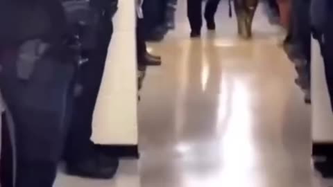 Police dog last walkout after being diagnosed with cancer