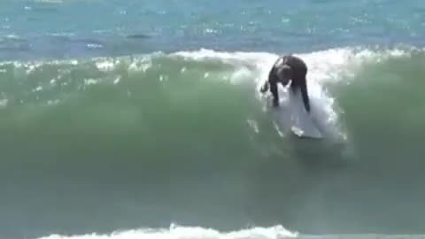 Surfing backflip in a barrel!