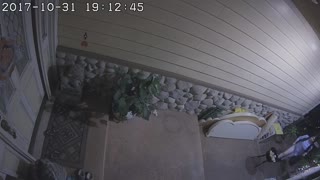 Stolen Candy Bowl on Halloween - When the Candy Thief Strikes