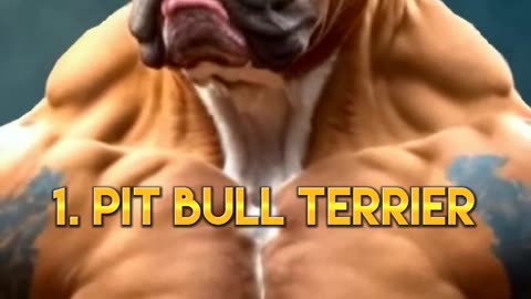 Top 10 most dangerous dogs in the world shorts video || #top10 #shorts #viral