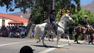 Dancing Horses 2- Ojai 4th of July Parade