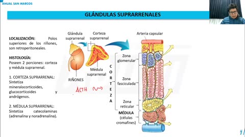 ANUAL ADUNI 2023 | Semana 34 | Álgebra | Biología