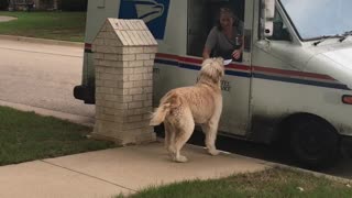 Reggie Taking a Rose to the Mail Lady