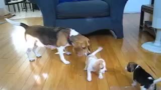 Playing with mom