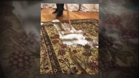 Area Rug Cleaning