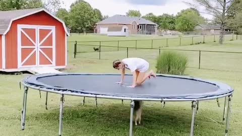 Max the Corgi Disapproves of His Human on the Trampoline