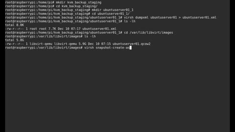 Raspberry Pi4B KVM 04-Backing up KVM virtual machines