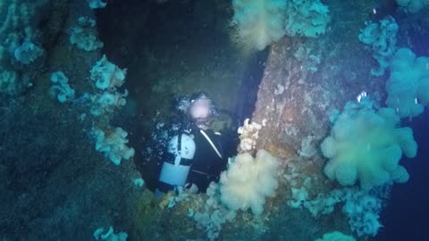 Diving the Rio De Janerio with my dad. Truk Lagoon