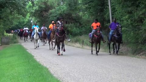 "BIG" Front Action Ryders Annual Walking Horse Trail Ride in Ogden, Arkansas-1