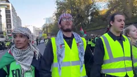 Pro-Palestine Hamas protesters in London on Remembrance Day