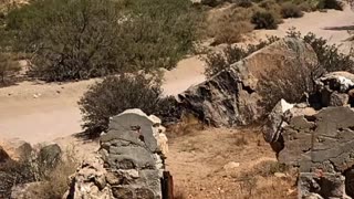 Old prospectors cabin pioneer Town CA /featuring Al Capone's hideaway