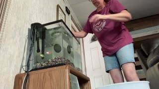 Quick Cleaning Of Fish Tank!