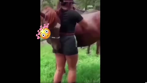 horse can't resist his instincts