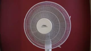 Oscillating fan therapy
