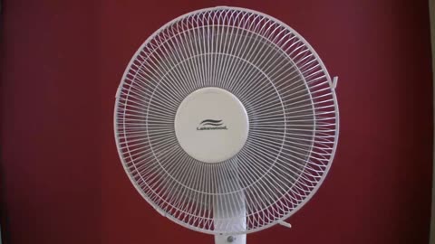 Oscillating fan therapy