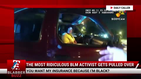 The Most Ridiculous BLM Activist Gets Pulled Over