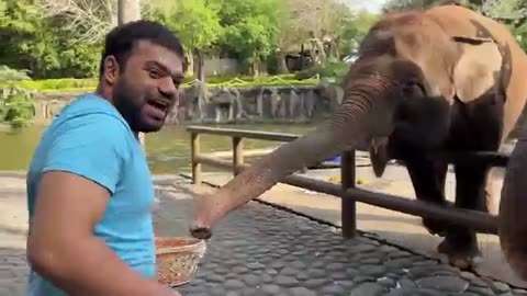 Elephant Ne Humein Shadi Ka Haar Pehna Diya 😍 | Scary Elephant Ride In Water 😱