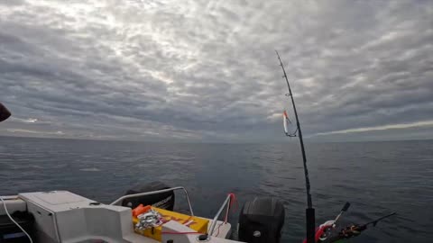 Spear fishing in reef