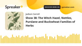 Show 38: The Witch Hazel, Nettles, Purslane and Buckwheat Families of Herbs (part 3 of 3)