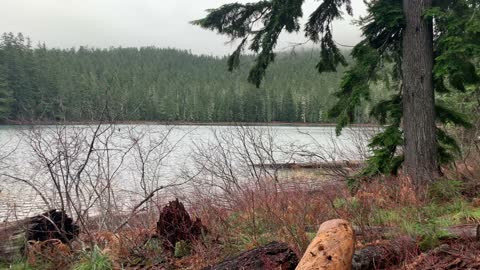 Oregon – Mount Hood National Forest – Lake Views Through the Brush – 4K