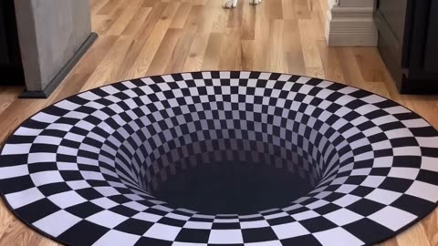 Dog funny reaction to entering optical illusion rug #sort video