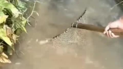 Amazing Fishing Technic