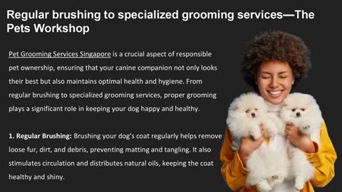 Regular brushing to specialized grooming services — The Pets Workshop