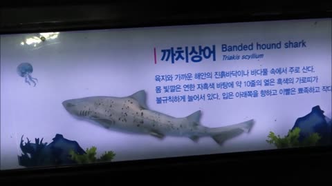 National Maritime Museum (Busan, South Korea)-9