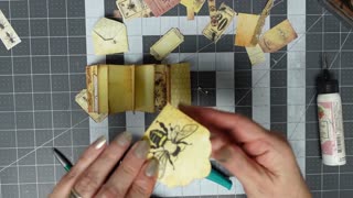 Mini Bee Journal Part 2