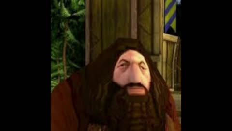 Hagrid from PS1 says SUS
