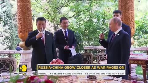 China’s Xi reaffirms support in call with Russian President Putin _ International News _ WION