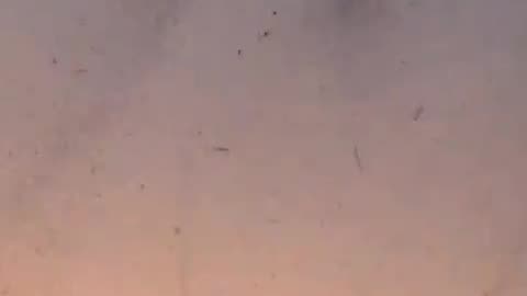 “Mosquito Tornado” Near Kharadi, India