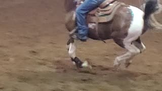 Marion County Fair Horse race