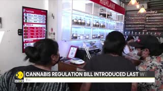 Thailand: Dispute over marijuana industry as APEC leaders gather in Bangkok | Latest News