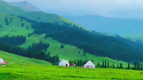 Have to come to Xinjiang! Watch the grassland with you.