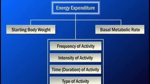 Get Fit, Not Fat: The Science of Exercise and Weight Loss | Part 02|