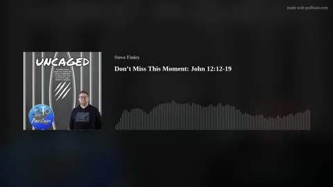 Don't Miss This Moment: John 12:12-19