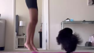 Pomeranian Does Yoga with Owner