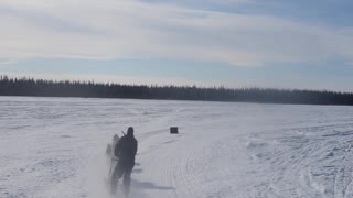 Husky Dog Sledding & Mushing Experience in Fairbanks, Alaska in April