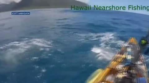 STUFF THAT. Shark attack on kayak caught on camera