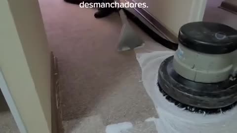 Que Debes Hacer Para Limpieza de alfombras