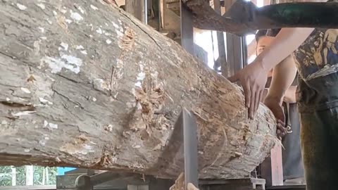 The process of sawing teak wood imported from Madiun is amazing