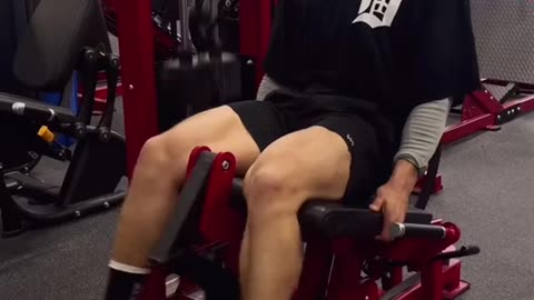 LEG WORKOUT Some Exercises: Unleash the Power in Every Move, Leg Day