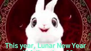 Lunar New Year: What to expect as we hop into the Year of the Rabbit