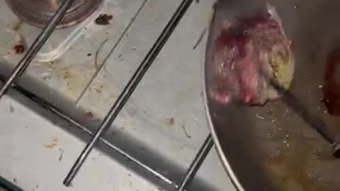 Guy Cooks Deer He Just Hit on the Side of the Road